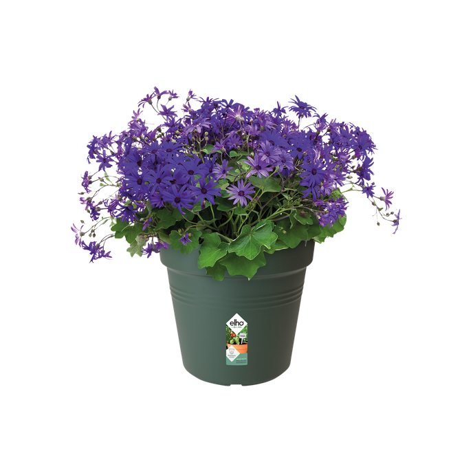 green basics anzuchttopf 15cm laubgrün